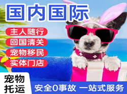 普洱思茅空运地址国际宠物托运 【国